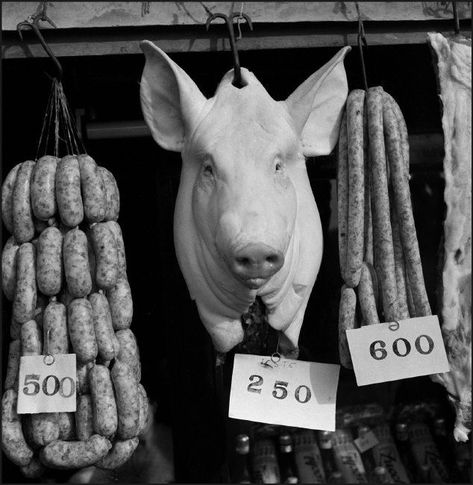 Creepy History, Dolls House Shop, Meat Shop, Restaurant Photography, Trade Sign, Butcher Shop, Magnum Photos, Baboon, In The Flesh