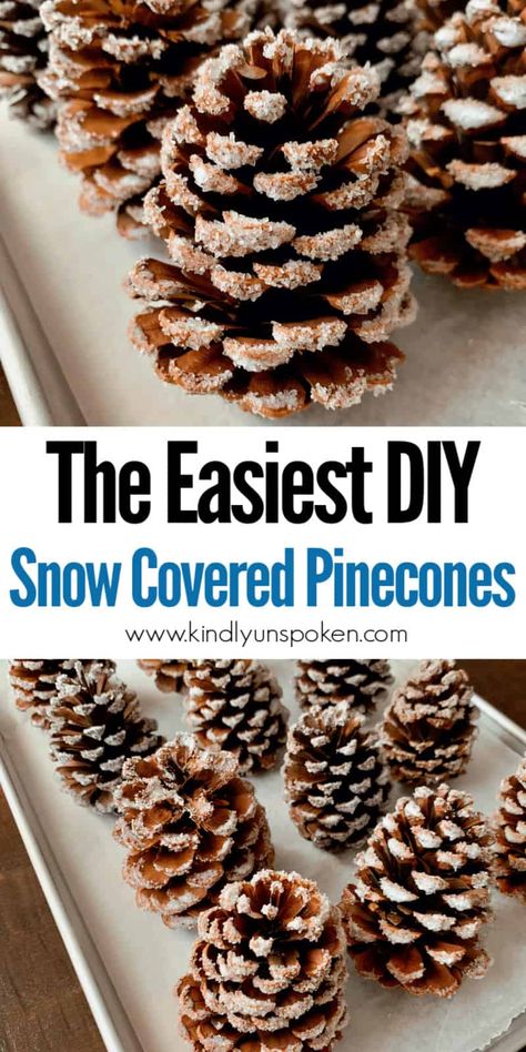 Pinecone Ideas, Diy Snow, Winter Decorations, Cones Crafts, Pine Cone Crafts, Navidad Diy, Pumpkin Muffins, Noel Christmas, Pine Cone