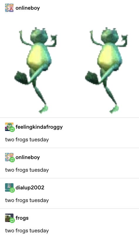 Friday Frog, Frog Friday, Frog Pictures, Frog Art, Frog And Toad, Cute Frogs, The Frog, Text Posts, Toad