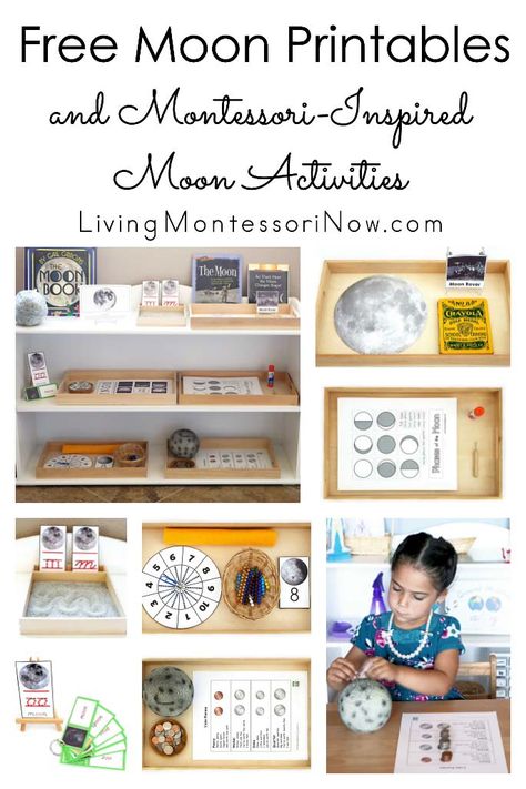 Montessori Activities Preschool, Moon Activities, Montessori Science, Montessori Printables, Montessori Lessons, Space Unit, Montessori Homeschool, Montessori Toddler Activities, Space Activities