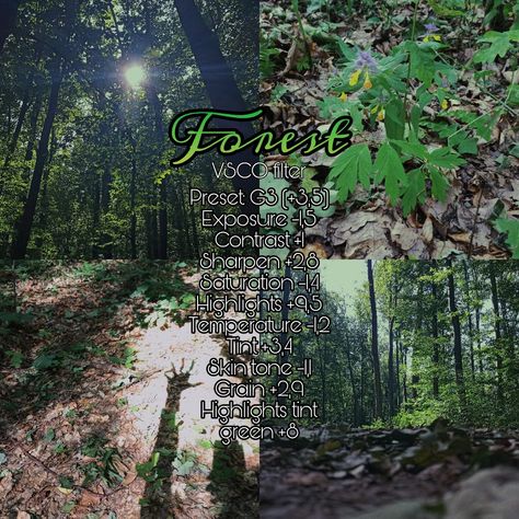 VSCO green filter Vsco Forest Filter, Fairy Filter, Vsco Hacks, Vsco Edits, Vsco Effects, Vsco Filter Free, Green Filter, Photo Tricks, Vsco Themes