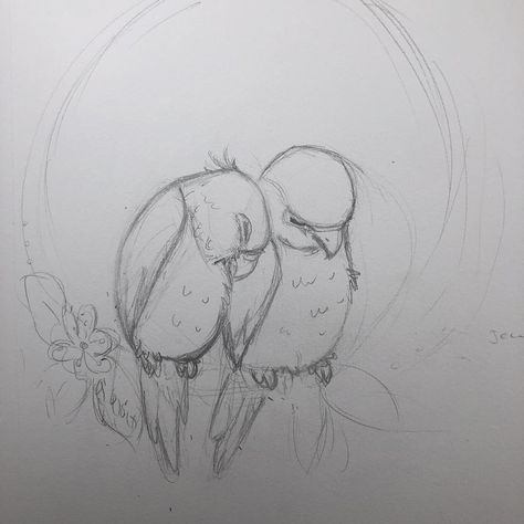 Birds Kissing Drawing, Couple Birds Drawing, Parotts Bird Sketch, Bird Couple Drawing, Love Birds Sketch, Birds In Love Drawing, Love Birds Drawing Simple, 2 Birds Drawing, Parotts Bird Drawing