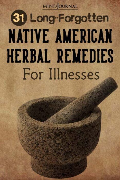 Native American Remedies, Native American Herbs, Home Remedies For Allergies, Natural Remedies For Migraines, Herbal Remedies Recipes, Native American Traditions, Dry Skin Remedies, Natural Antibiotics, Natural Healing Remedies