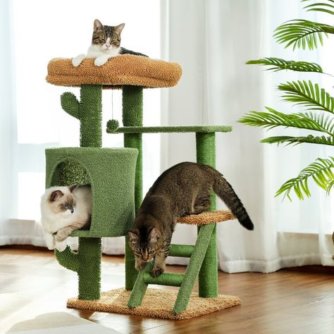 Kitty Play, Cat Playhouse, Large Cat Tree, Niche Chat, Cactus Cat, Cat Tree House, Cat Tree Condo, Cat Activity, Cat Perch