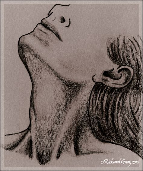 Neck Sketch Male, Neck Drawing Reference Female, Neck Sketches Female, Male Neck Drawing, Female Neck, Neck Drawing, Tutorials Drawing, Drawing Portrait, Art Patterns