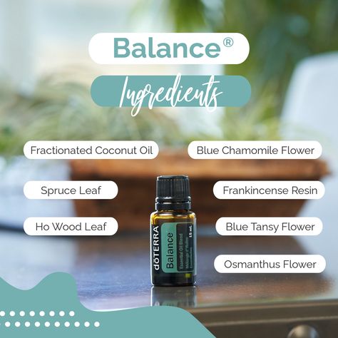 Balance Doterra, Doterra Balance, Frankincense Resin, Doterra Essential Oils Recipes, Essential Oil Remedy, Oil Remedies, Blue Tansy, Chamomile Flowers, Fractionated Coconut Oil