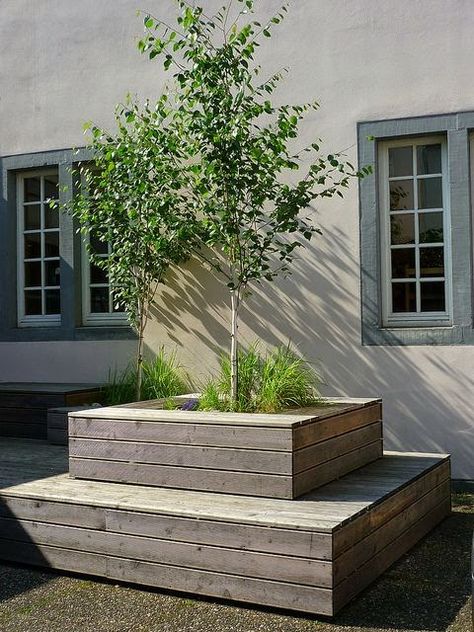 THIS IS IT. This what I pictured. Raised bed for tree, Garden Idea. Diy Garden Seating, Backyard Sitting Areas, Garden Bench Diy, Garden Seating Area, Planter Bench, Raised Bed, Garden Seating, Garden Trees, Garden Bench