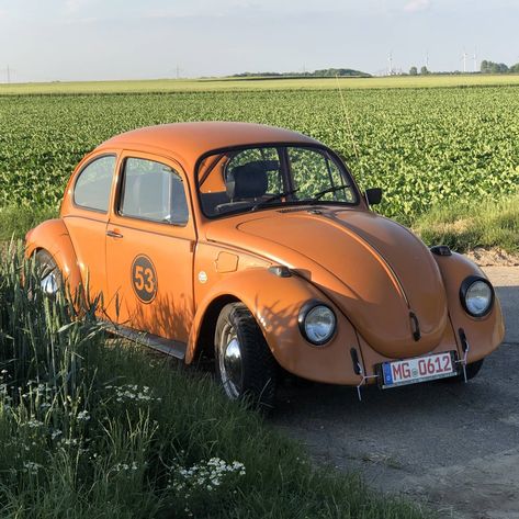 Closing the "Orange Classics" theme week with this beauty: This 1976 Volkswagen Beetle 1200 is an authentic stunner. The saloon comes with an orange varnish and has a slight patina. Discover more: www.classic-trader.com/pn264031 Orange Volkswagen Beetle, Volkswagen Beetle Aesthetic, Beetle Aesthetic, Automobile Companies, Ted Bundy, Book Aesthetics, S Car, Volkswagen Beetle, Antique Cars