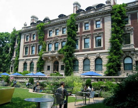 Cooper-Hewitt selects DS+R to help with Expansion (1) Cooper Hewitt, Summer Garden Party, New York Museums, Indoor Gardens, Traditional Garden, Back Garden, Architectural Inspiration, Design Museum, Water Plants