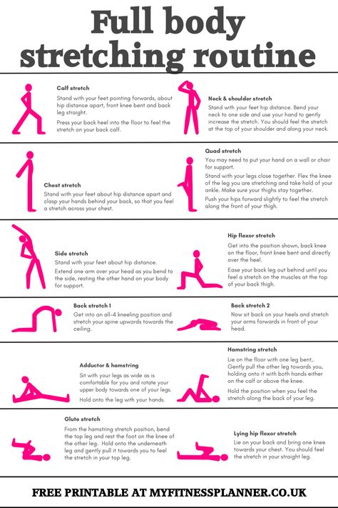 Pre Workout Stretches, Best Stretching Exercises, Full Body Stretching Routine, Daily Stretching Routine, Post Workout Stretches, Body Stretching, Daily Stretches, Stretching Routine, Quad Stretch