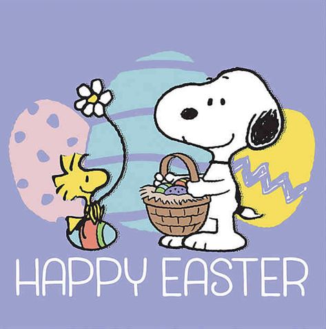 Charlie Brown Easter, Happy Easter Art, Easter Beagle, Happy Easter Funny, Happy Easter Pictures, Happy Easter Quotes, Snoopy Easter, Easter Cartoons, Easter Canvas