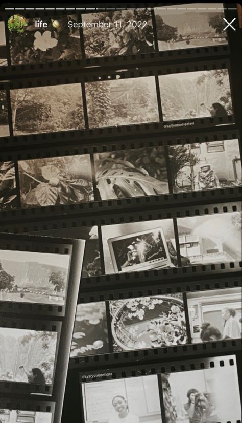 film negatives, film camera inspo, film pics, film aesthetic, black and white film, old film camera aesthetic, insta story inspo, instagram story aesthetic Film Rolls Aesthetic, Photo Film Aesthetic, Camera Film Roll Aesthetic, Film Roll Aesthetic, Film Strip Aesthetic, Old Film Roll, Black And White Film Aesthetic, Old Film Aesthetic, Film Photography Black And White