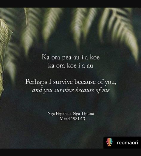 Maori Quotes, Maori Proverbs, 2024 Mindset, Headstone Ideas, Te Reo Maori Resources, Maori Language, Maori Words, Maori Patterns, Māori Culture