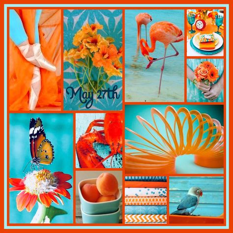 Orange And Aqua, Gallery Wallpaper, Art Gallery Wallpaper, Color Combinations, Art Gallery, Created By, Collage, Orange, Bedroom