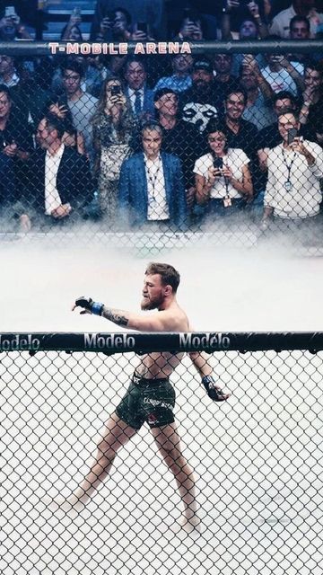 Mcgregor Walk, Conor Mcgregor Wallpaper, Notorious Mcgregor, Ufc Conor Mcgregor, Mma Motivation, Martial Arts Manga, Boxing Images, Notorious Conor Mcgregor, Nate Diaz