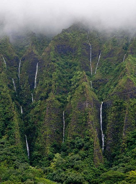 Looks like Kauai....I miss you Hawaii Mountain Waterfall, Ancient Forest, Dream Beach, Kauai Hawaii, Beautiful Waterfalls, City Aesthetic, City Travel, Science And Nature, Kauai