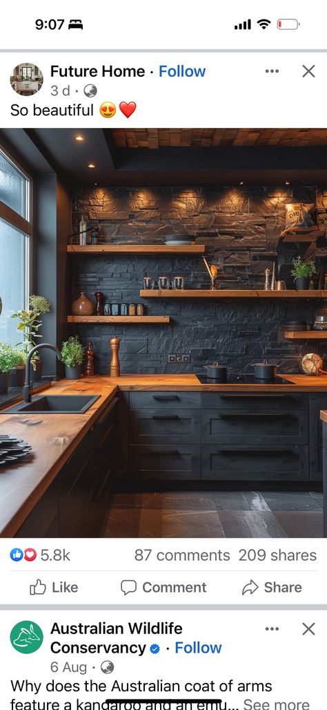 Black Brick Accent Wall, Brick Accent Wall Kitchen, Accent Wall Kitchen, Brick Accent Wall, Black Brick, Cabin Kitchens, Wall Kitchen, Future House, Accent Wall