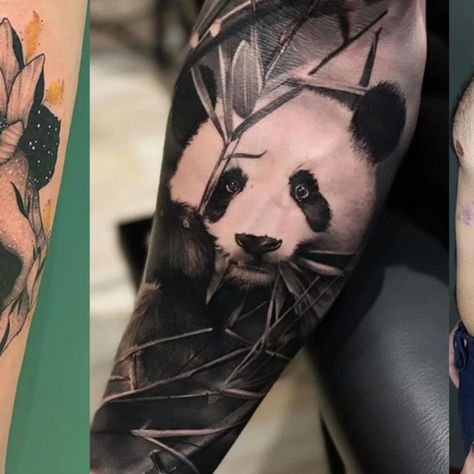 Thomas Carli Jarlier, Panda Bear Tattoos, Real Tattoos, Cubs Tattoo, Black And Grey Tattoo, Leopard Tattoos, Panda Tattoo, Ink Magazine, Tattoo Magazine