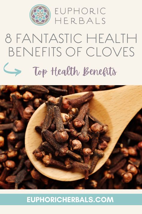 Cloves are a popular and very aromatic spice. They enter frequently into holiday baking and are a staple in Indian spice blends. Once worth their weight in gold, there are also many powerful health benefits of cloves that might surprise you. Here's more about their history and the most notable health benefits of cloves. Benefits Of Cloves, Cloves Benefits, Remedies For Tooth Ache, Clove Essential Oil, Herbs For Health, Holistic Remedies, Breastfeeding And Pumping, Holistic Living, Indian Spices