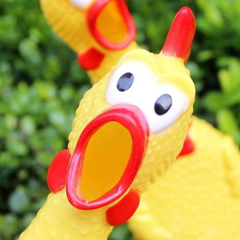 Chicken Dog, Rubber Chicken, Pet Sounds, Chicken Toys, Chicken For Dogs, Teddy Toys, Pet Dogs Puppies, Funny Toys, Fred Meyer