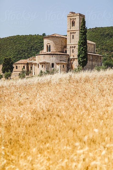 Tuscany Landscape, Toscana Italy, Romanesque Architecture, Voyage Europe, Italy Vacation, Tuscany Italy, Umbria, Elba, Lucca