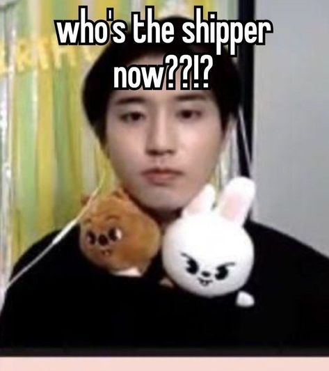 #whisper #straykids #han #hanjisung #leeknow #minho #minsung Homeless Kids, Bear Grylls, Silly Kids, Stray Kids Memes, Skz Memes, Baby Squirrel, Skz In Cute, Savage Kids, Kid Memes