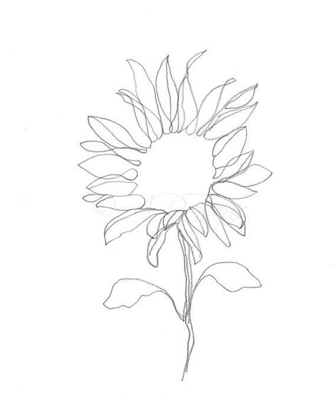 sunflower line drawing Henne Tattoo, Sunflower Tattoo Sleeve, Sunflower Tattoo Shoulder, Sunflower Drawing, Abstract Flower Art, Minimalist Flowers, Sunflower Tattoo Design, Dragon Drawing, Branding Design Inspiration