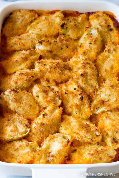 Must-Try Chicken Parmesan Stuffed Shells Chicken Parm Shells, Stuffed Shells With Ground Chicken, Million Dollar Stuffed Shells, Thanksgiving Stuffed Shells, Tuscan Chicken Stuffed Shells, Stuffed Shell Appetizer, Chicken Parm Stuffed Shells, Fried Stuffed Shells, Stuffed Shells Beef