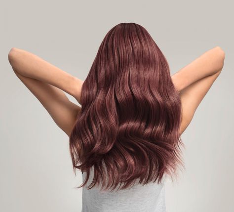 Dark Rose Hair Color, Dark Rose Hair, Rose Hair Color, Long Hair Care, Wella Color Fresh, Wella Color, Dark Rose, Hereford, Rose Hair