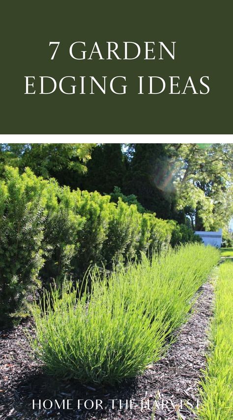 Borders For Gardens, Border Landscape Design, Flowerbed Edging Ideas, Vegetable Garden Border, Landscape Border Ideas, Garden Boarders Ideas, Garden Edges And Borders, Low Maintenance Landscape Ideas, Landscaping Borders