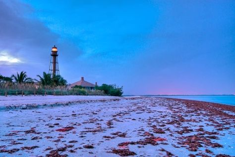 I love Sanibel Island. It is peaceful and beautiful. Beach Towns In Florida, Beach Photography Friends, Tahiti Travel, Beautiful Beaches Paradise, Where Is Bora Bora, Best Island Vacation, Dog Friendly Vacation, Lanai Island, Sea Scapes