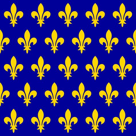 Kingdom of France (12th century-13th century) Royal Banner, Flag Of France, Flag Of Europe, France Wallpaper, Medieval France, Knight Shield, Medieval Shields, Saint Joan Of Arc, French Royalty