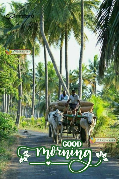 Bullock Cart Indian, Map Photography, Mindset Therapy, Bullock Cart, Amazing India, Village Photos, India Culture, Village Photography, India Photography