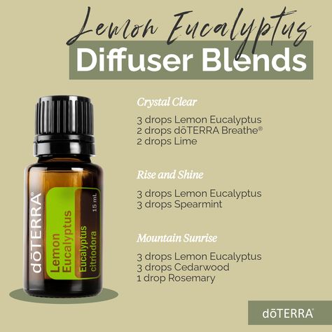 Doterra Lemon Eucalyptus, Eucalyptus Diffuser Blends, Doterra Lemon, Doterra Diffuser, Doterra Diffuser Blends, Doterra Essential Oils Recipes, Essential Oil Diffuser Blends Recipes, What Are Essential Oils, Lemon Eucalyptus