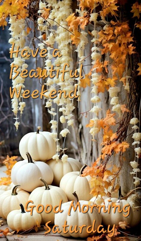 Saturday Morning Fall Quotes, Happy Saturday Fall Images, Happy Saturday Fall, Fall Saturday Morning, Happy New Month November, Weekday Motivation, Saturday Morning Greetings, Rising Quotes, Saturday Quotes Funny