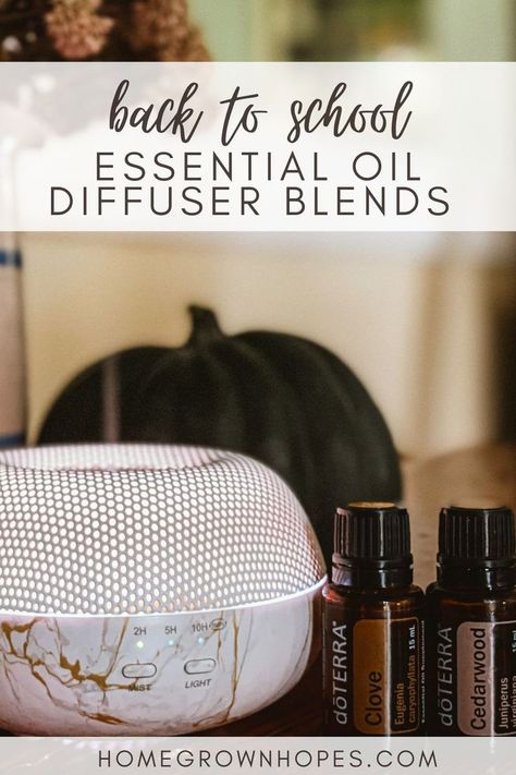 Using these essential oil diffuser blends for back-to-school is the perfect way to create a peaceful and healthy learning environment for kids and students this school season. Use these blends for a holistic and natural home remedy for immunity, focus, energizing, and calming properties. Some essential oils included are lavender, wild orange, rosemary, lemon, and chamomile. Use essential oil blends from Doterra or create your own blends. Best Essential Oil Diffuser, Wild Orange, Back To School Essentials, Essential Oil Diffuser Blends, Oil Diffuser Blends, Best Essential Oils, Homemade Crafts, Natural Home Remedies, Diffuser Blends