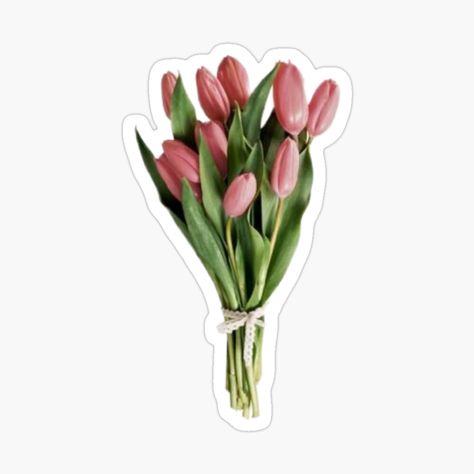 Get my art printed on awesome products. Support me at Redbubble #RBandME: https://www.redbubble.com/i/sticker/Pink-Tulips-Bouquet-INS-Coquette-Sticker-by-MollyElynDesign/164371548.EJUG5?asc=u Pink Tulips Bouquet, Tulips Bouquet, Tulip Bouquet, Pink Tulips, Tulips, My Art, Awesome Products, Collage, Art Prints