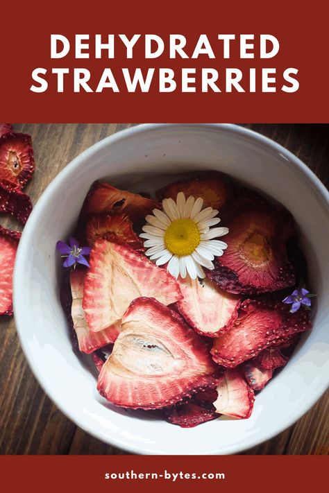 Dehydrated Strawberries are an easy way to make the most of a summer abundance of strawberries. They are as sweet as candy without actually being candy. Click through to get the recipe! #preservation #dehydratedfruit #summer #strawberries #southern #excalibur Dehydrate Strawberries, Dehydrated Strawberries, Fruity Snacks, Peach Lemonade, Kid Friendly Snack, Homemade Granola Bars, Dehydrated Fruit, Yummy Healthy Snacks, Healthy Snack Options