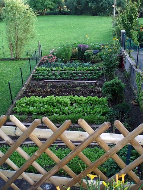 A Well Organized Garden Garden Potager, Small Vegetable Gardens, Budget Garden, Veg Garden, Have Inspiration, Homestead Survival, Plants And Flowers, Veggie Garden, Edible Garden