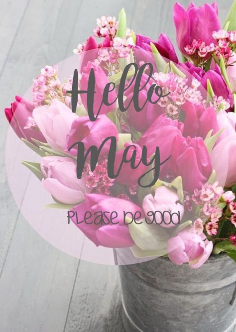 05/01/2017; yes, please be a good, beautiful, loving May ‍❤️‍ May Chapter 5 Of 12 Month, May Chapter 5 Of 12, Hello June Quotes, May Images, Hello May Quotes, May Month, June Quotes, Birthday Month Flowers, Welcome May