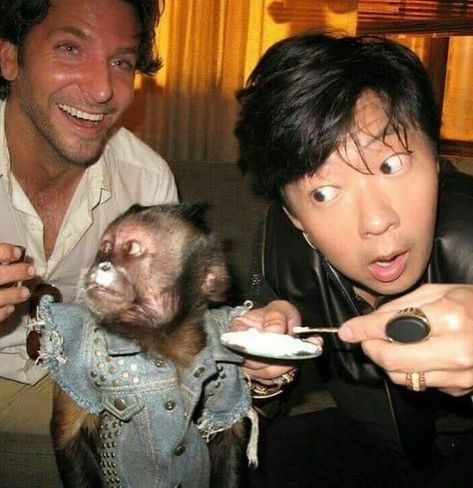 Chow Hangover, Leslie Chow, Ken Jeong, Hard Photo, Funny Profile, Bradley Cooper, Very Bad, Funny Profile Pictures, Chow Chow