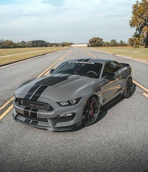 Nice Nardo Gray GT350 #mustang #ford #gt #americanmuscle #shelby #mustanglife #stance #mustanggt #gt350 #gt500 Mustang Gt 350, Mobil Mustang, Shelby Gt 500, Mustang Gt500, Grey Car, Ford Mustang Car, Aesthetic Cool, Car Organization, Aesthetic Car