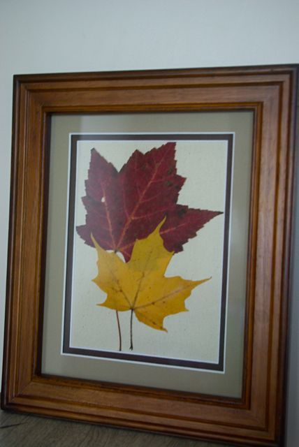 Canoe Corner: Framing Pressed Leaves Diy Christmas Baskets, Christmas Gift Baskets Diy, Christmas Neighbor, Christmas Crafts For Adults, Pressed Leaves, Easy Christmas Gifts, Leaf Crafts, Christmas Mason Jars, Christmas Baskets