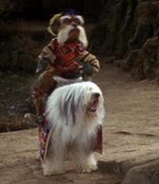 Ambrosius is a cowardly sheep-dog, and is the mount of Sir Didymus in Labyrinth. He seems to resemble Sarah's dog Merlin. Sir Didymus And Ambrosius, Labyrinth Characters, Sir Didymus, Jim Henson Labyrinth, Fluffy Critter, Labyrinth 1986, Labyrinth Movie, Christina Rossetti, Original Memes