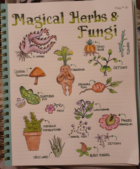 Herbology Harry Potter Printable, Harry Potter Plants Herbology, Harry Potter Sketches Easy, Herbology Hogwarts, Herbology Harry Potter, Mystical Plants, Harry Potter Herbology, Harry Potter Plants, Harry Potter Notebook