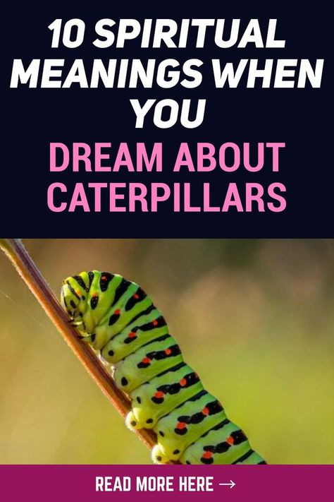 In many cultures, the caterpillar is considered to be a symbol of growth, new beginnings, fresh ideas, good fortune, new opportunities, and transformation. They’re also deemed to be an emblem of patience, endurance, resilience, and deception. #dreams #dreaminterpretation #dreamanalysis #dreammeaning #spirituality Symbol Of Growth, Animal Meanings, Dream Meaning, Spiritual Animal, Dream Meanings, Hidden Messages, Dream Interpretation, Spiritual Meaning, You Dream