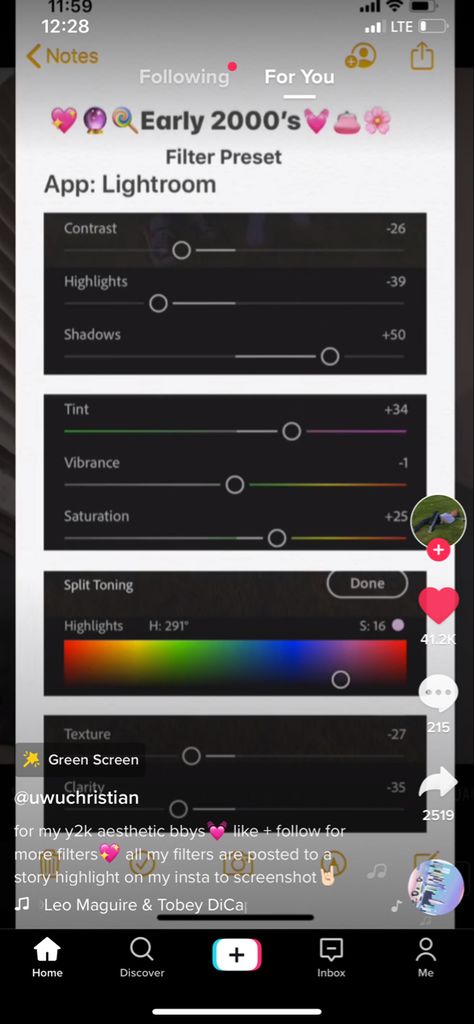 Y2k Filter, Lightroom Filters, Vsco Filter, Y2k Aesthetic, Lightroom, Photo Editing, Filter, Texture