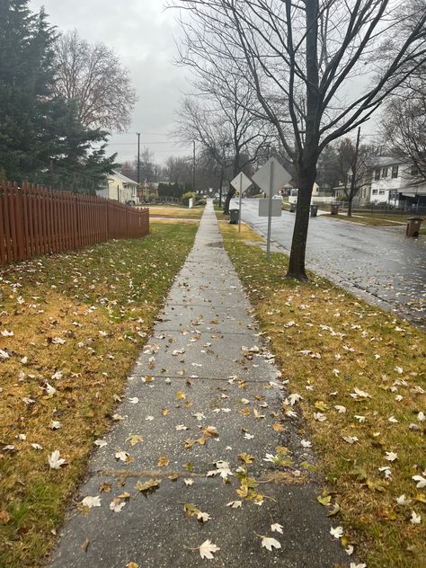 autumn path•rainy day aesthetic•fall day•cloudy aesthetic Bright Rainy Day Aesthetic, Raining Background, Rainy Pictures, Landscape Rain, Cloudy Aesthetic, Midwest Fall, New York Rain, Fall Rain, Background References