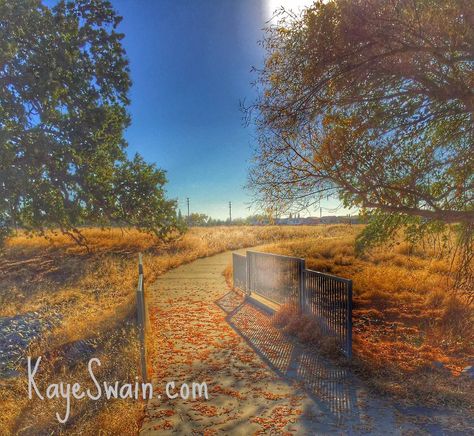 One of the many lovely trails in Roseville CA Retirement Goals, Roseville California, Retirement Ideas, Sacramento California, Big City, Photo Location, Relocation, Golden State, Sacramento