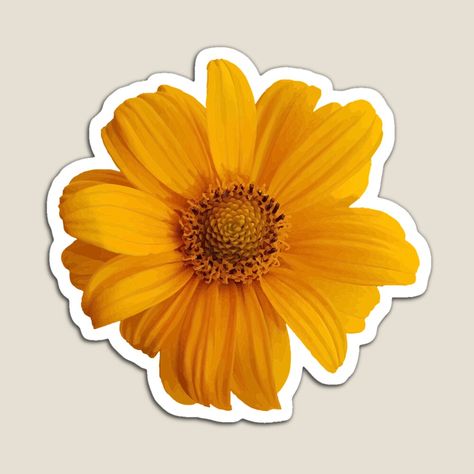 Sticker Transparent, Flower Magnets, Flower Yellow, Create Graphics, Yellow Sun, Aesthetic Desktop Wallpaper, Shopping Photography, Pretty Flower, Sunflower Design